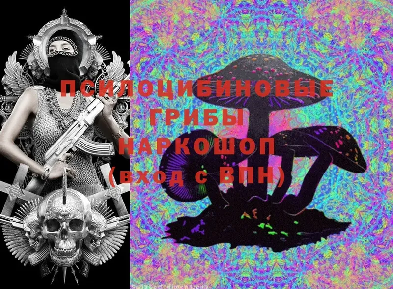 Псилоцибиновые грибы Cubensis Олонец